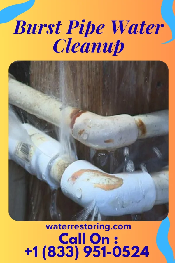 Burst Pipe Water Cleanup in Caspian, MI
